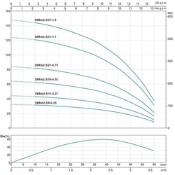 پمپ شناور لئو مدل 3XRm 2.5/21-0.75
