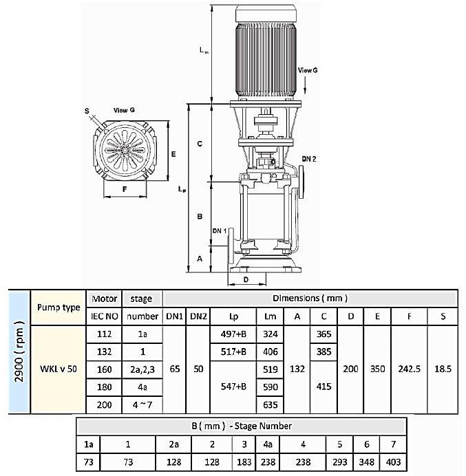 پمپ طبقاتی عمودی سمنان انرژی مدل WKLV-2 با موتور 1450 دور