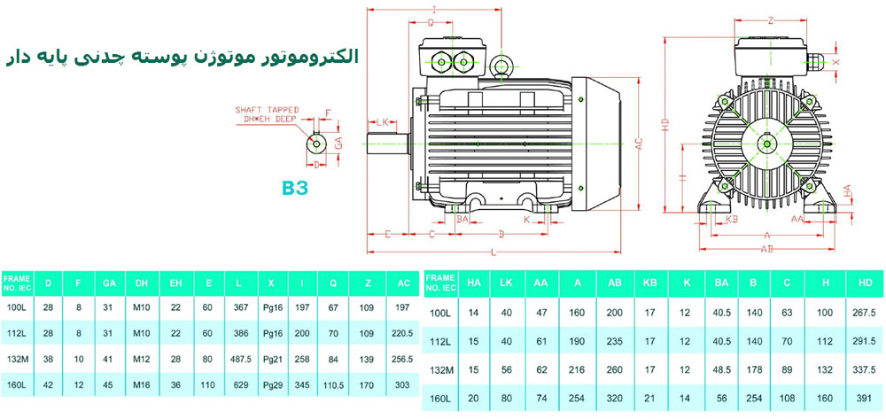 الکتروموتور موتوژن پوسته چدنی 7.5 اسب 3000 دور