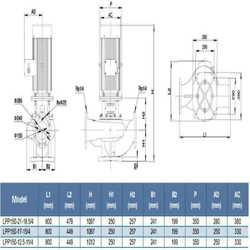 پمپ سیرکولاتور خطی لئو مدل LPP150-12.5-11/4