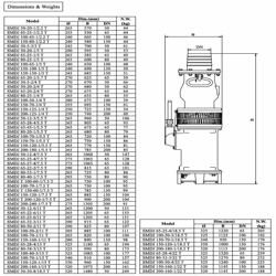 پمپ کفکش چدنی سه فاز ابر مدل SMDJ 100-45-1/2.2 T