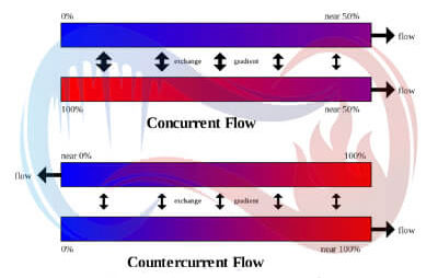 جریان همسو و جریان ناهمسو در مبدل حرارتی پوسته و لوله جریان همسو و جریان ناهمسو در مبدل حرارتی پوسته و لوله