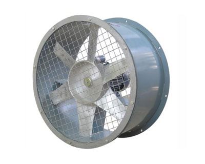 فن کانالی فن کانالی